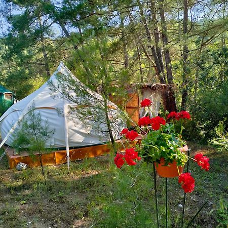 Vinsan Glamping & Wellness Centre Hotel Eleousa Exterior photo