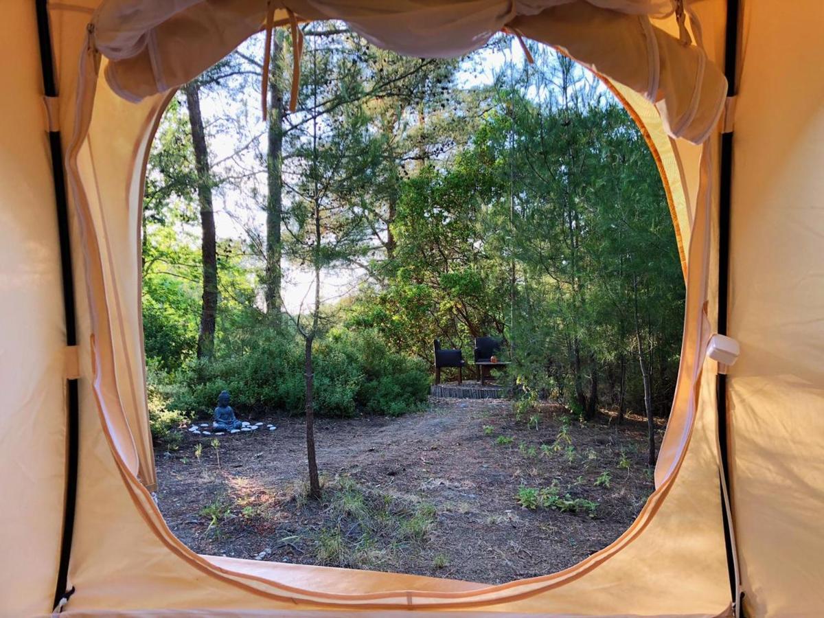 Vinsan Glamping & Wellness Centre Hotel Eleousa Exterior photo