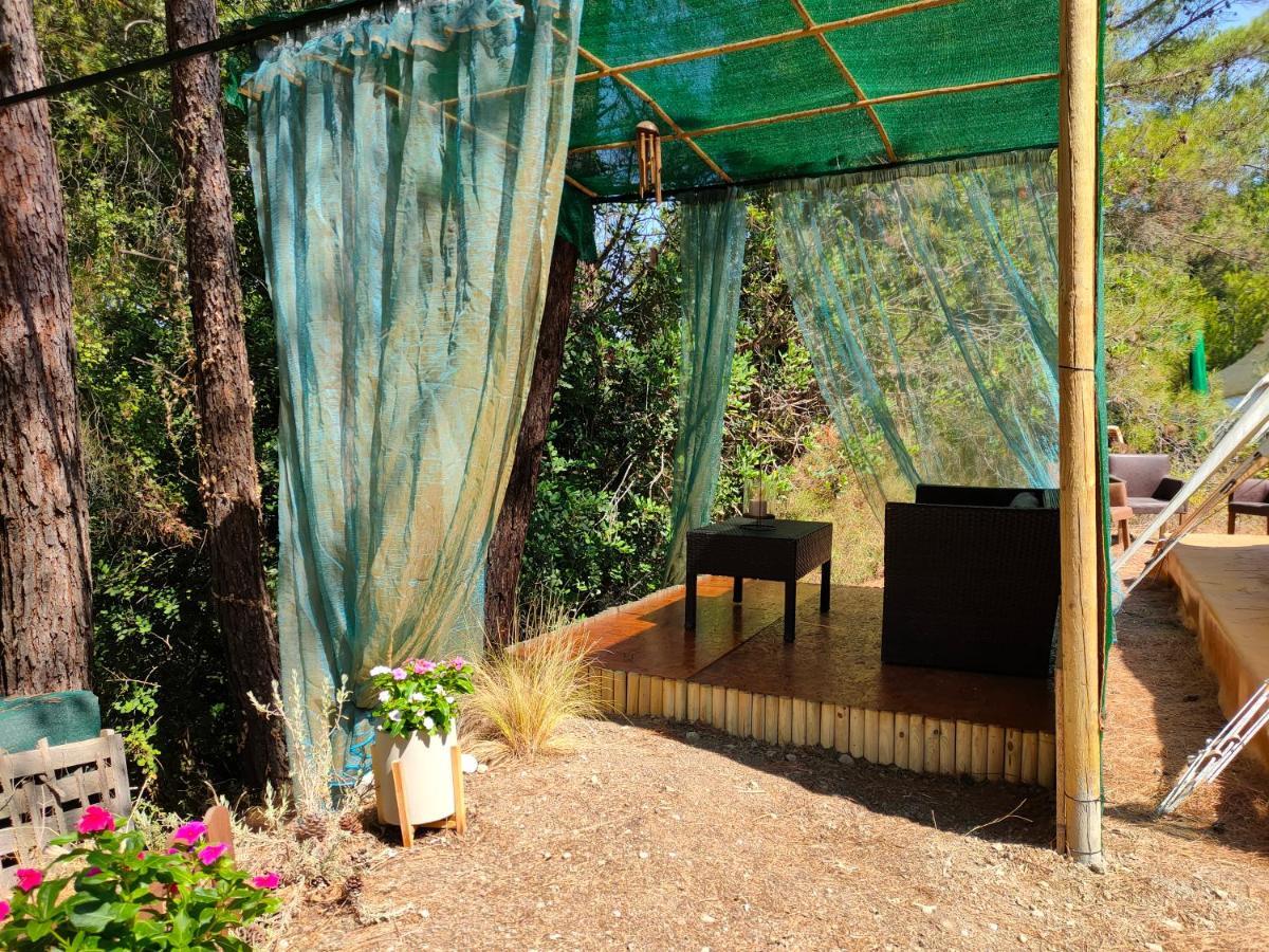 Vinsan Glamping & Wellness Centre Hotel Eleousa Exterior photo